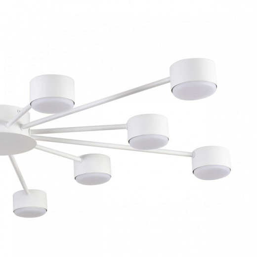 Потолочная люстра Lumion TORINA 8343/12C