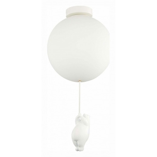 Накладной светильник EVOLUCE Modena SLE115412-01