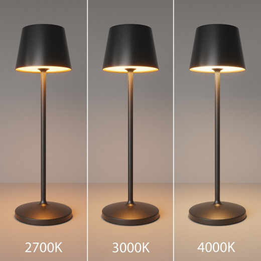 Настольная лампа декоративная Maytoni Nook MOD494RL-L1BK