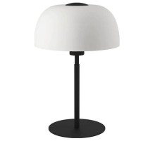 Настольная лампа декоративная Eglo Solo 2 900142