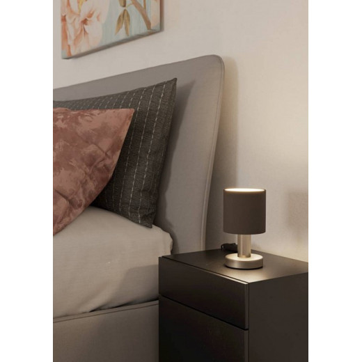 Настольная лампа декоративная Eglo MONTETTO 31842