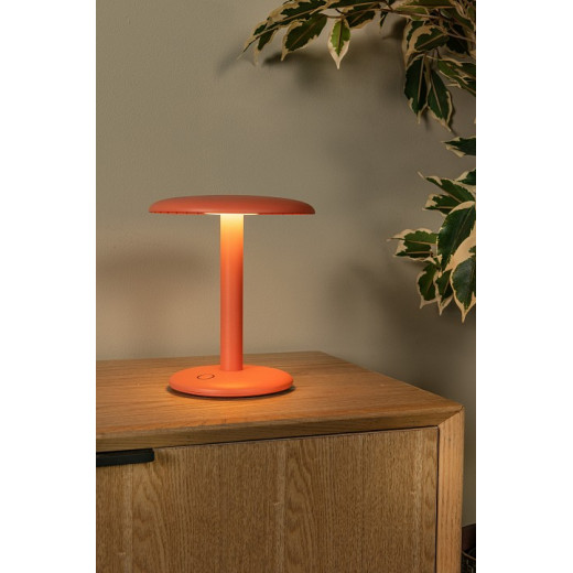 Настольная лампа декоративная Lucide AGAR 03553/02/53