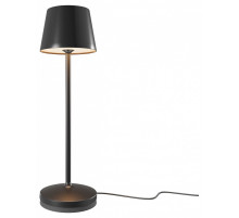 Настольная лампа декоративная Maytoni Nook MOD494RL-L1BK