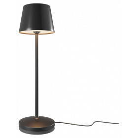 Настольная лампа декоративная Maytoni Nook MOD494RL-L1BK