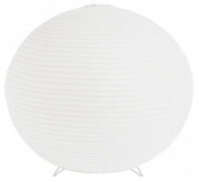 Настольная лампа декоративная EVOLUCE MOON SLE6020-504-01