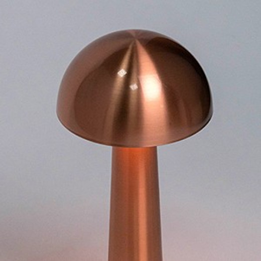 Настольная лампа декоративная Escada Evo 10257/L LED