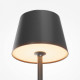 Настольная лампа декоративная Maytoni Nook MOD494RL-L1BK