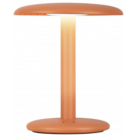 Настольная лампа декоративная Lucide AGAR 03553/02/53