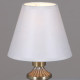 Настольная лампа декоративная ILLUMICO  IL0906-1TSQ-26 AB ELITE