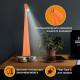 Настольная лампа декоративная Arte Milano  128101/H350/3-6K/3W Orange