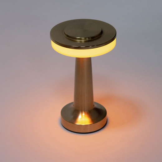 Настольная лампа декоративная Escada Accent 10258/L LED