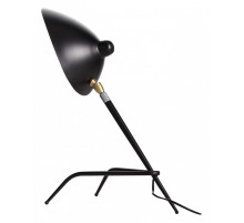 Настольная лампа декоративная ST-Luce Spruzzo SL305.404.01