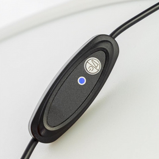 Настольная лампа декоративная Citilux LINA CL812010