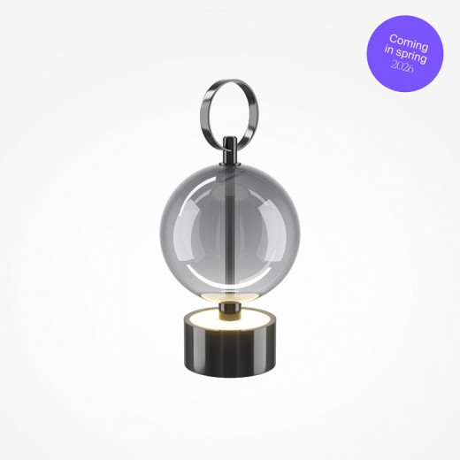 Настольная лампа декоративная Maytoni Double Moon MOD478RL-L3B3K