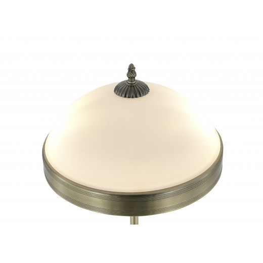 Настольная лампа декоративная MyFar Biene MR2522-2T