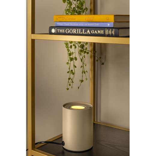 Настольная лампа декоративная Lucide TUBE 22552/05/41