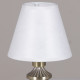 Настольная лампа декоративная ILLUMICO  IL0906-1TSQ-26 AB ELITE