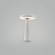Настольная лампа декоративная Freya Mushroom FR6109TL-L4W