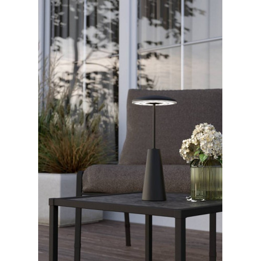 Настольная лампа декоративная Eglo PICCOLA 900925