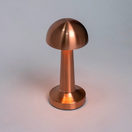 Настольная лампа декоративная Escada Evo 10257/L LED