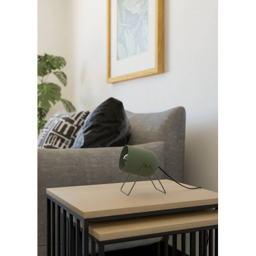 Настольная лампа декоративная Eglo TILSTON 44136