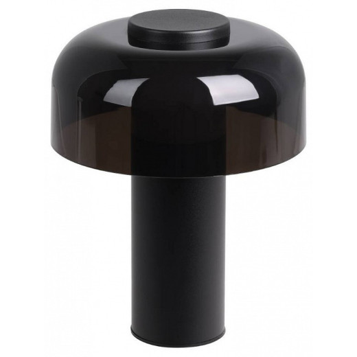 Настольная лампа декоративная Eglo ПРОМО PONENTE 900983