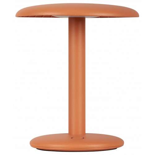 Настольная лампа декоративная Lucide AGAR 03553/02/53