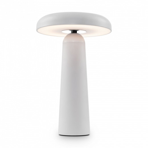 Настольная лампа декоративная Freya Mushroom FR6109TL-L4W