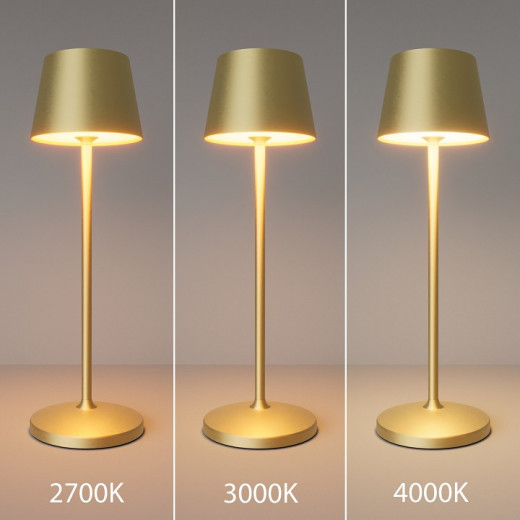 Настольная лампа декоративная Maytoni Nook MOD494RL-L1BSK