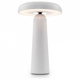 Настольная лампа декоративная Freya Mushroom FR6109TL-L4W