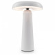 Настольная лампа декоративная Freya Mushroom FR6109TL-L4W