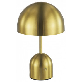 Настольная лампа декоративная EVOLUCE Eclat SLE1806-204-01