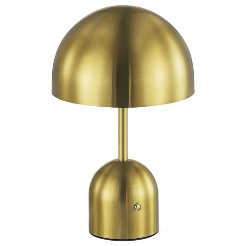 Настольная лампа декоративная EVOLUCE Eclat SLE1806-204-01