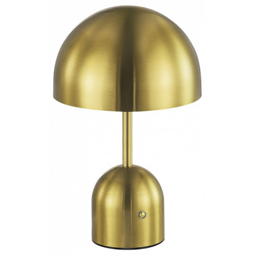 Настольная лампа декоративная EVOLUCE Eclat SLE1806-204-01