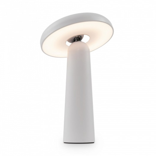 Настольная лампа декоративная Freya Mushroom FR6109TL-L4W