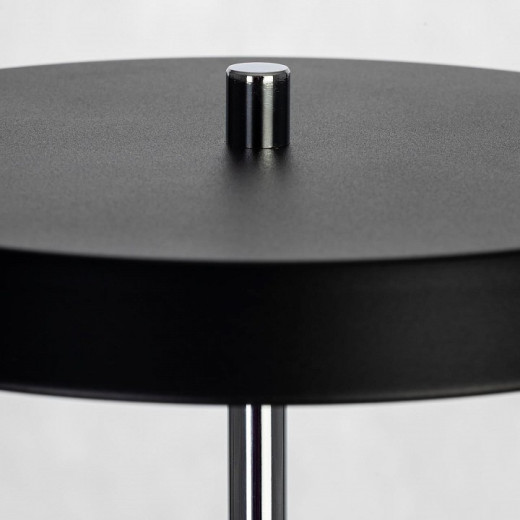 Настольная лампа декоративная Citilux LINA CL812011