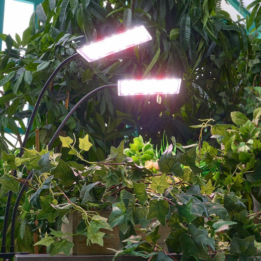 Светильник для растений Uniel ULT-P UL-00010378