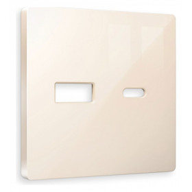 Накладка для розетки type A и C Ambrella Volt Quant AP3110