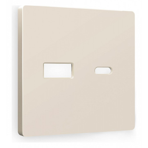 Накладка для розетки type A и C Ambrella Volt Quant AP3310