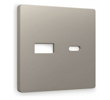 Накладка для розетки type A и C Ambrella Volt Quant AP3710