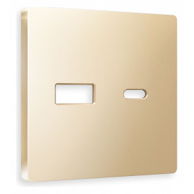 Накладка для розетки type A и C Ambrella Volt Quant AP6110