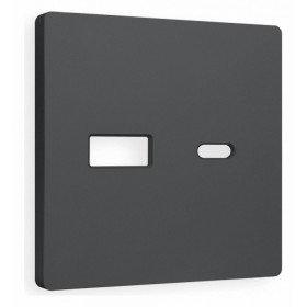 Накладка для розетки type A и C Ambrella Volt Quant AP9110