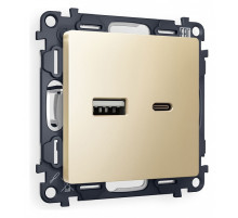 Розетка 2хUSB type A и C без рамки Ambrella Volt Quant MA611010