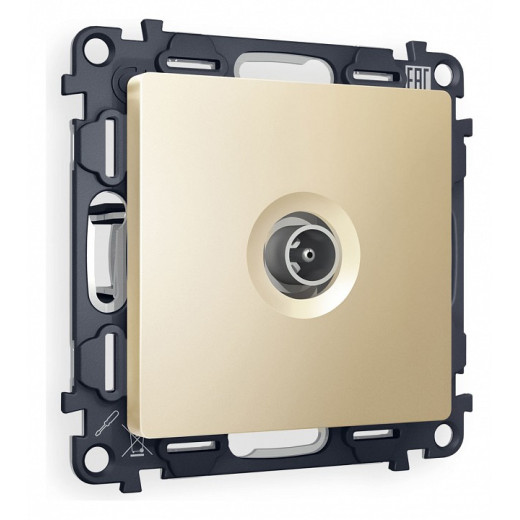 ТВ-розетка оконечная без рамки Ambrella Volt Quant MA613010