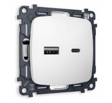 Розетка 2хUSB type A и C без рамки Ambrella Volt Quant MO131010