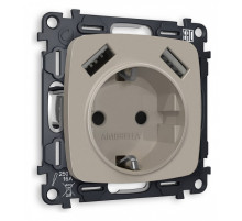 Розетка с заземлением и 2хUSB type A, без рамки Ambrella Volt Quant MO369010