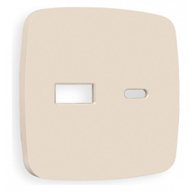 Накладка для розетки type A и C Ambrella Volt Quant OP3310