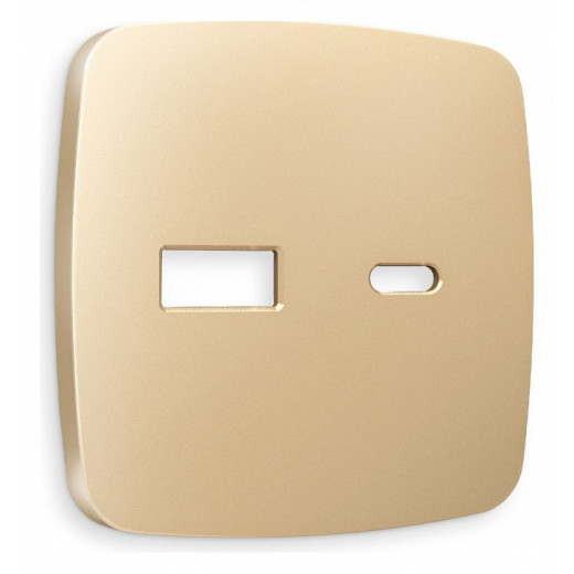 Накладка для розетки type A и C Ambrella Volt Quant OP6110