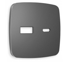 Накладка для розетки type A и C Ambrella Volt Quant OP6610