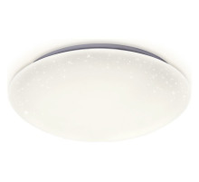 Накладной светильник Ambrella Light FF FF42